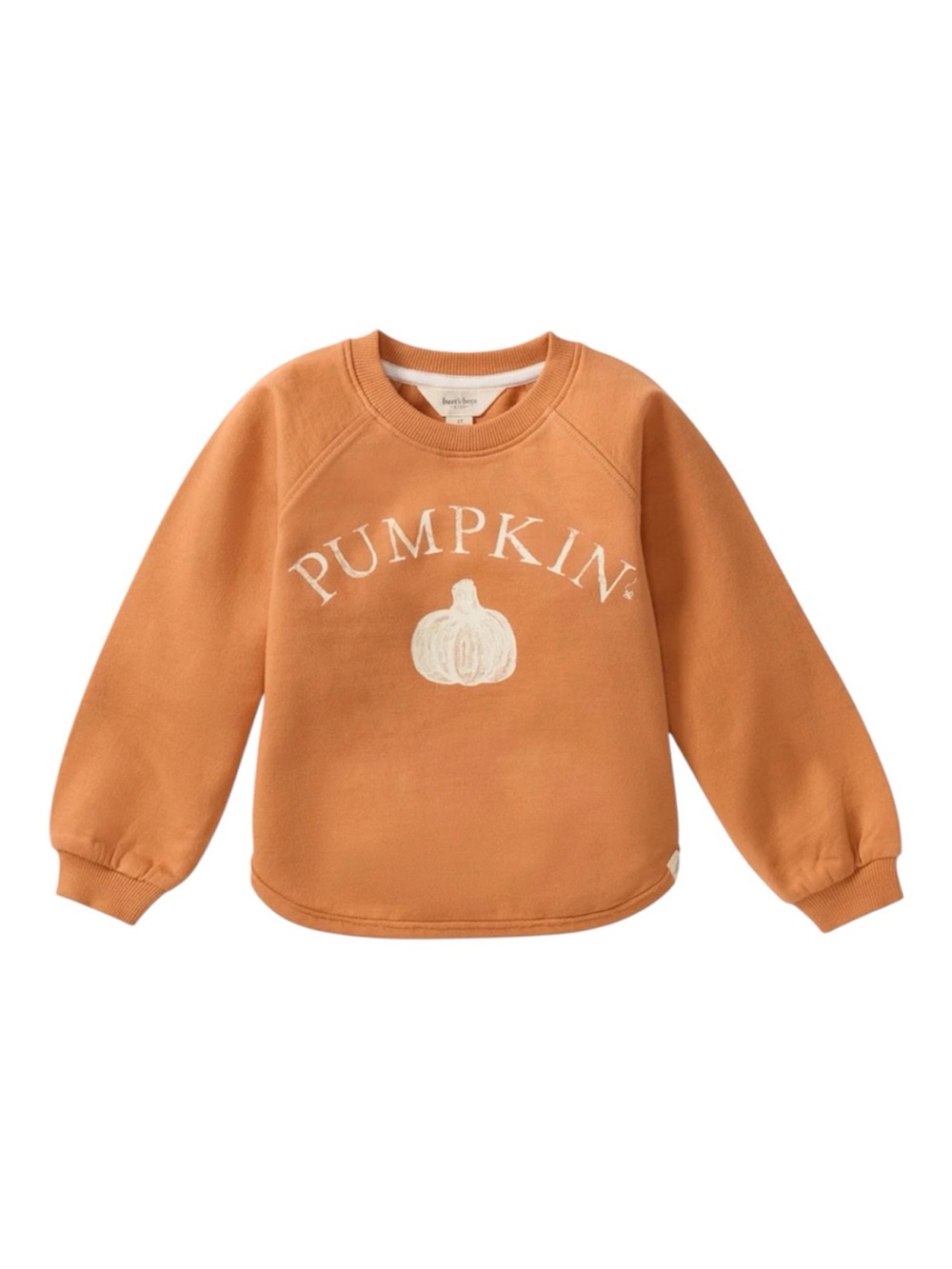 Burt's Bees Organic Pumpkin Sweatshirt 3T